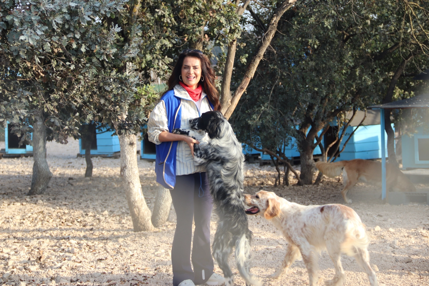 YASAV minik dostlara umut  oldu