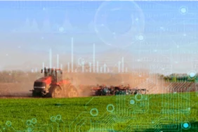 2025’te Bitkisel Üretimde Düşüş: TÜİK Verileri Açıklandı