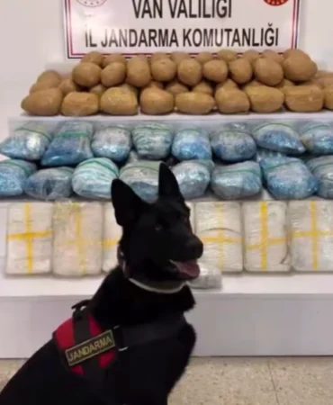 63 ilde 1 tonu aşkın uyuşturucu ele geçirildi