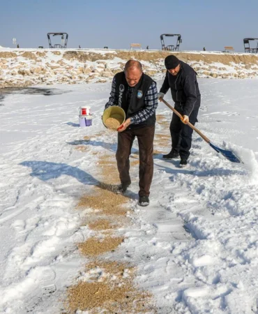 Van8217da-Yaban-Hayati-Icin-Seferberlik-Kuslara-Yem-Birakildi-featured