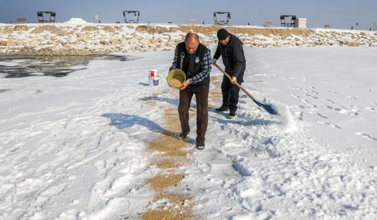 Van8217da-Yaban-Hayati-Icin-Seferberlik-Kuslara-Yem-Birakildi-featured