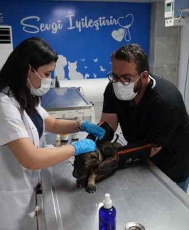 Adıyaman Belediyesi 2025’te Patibulansla sahadaydı: Binlerce hayvan şifa buldu