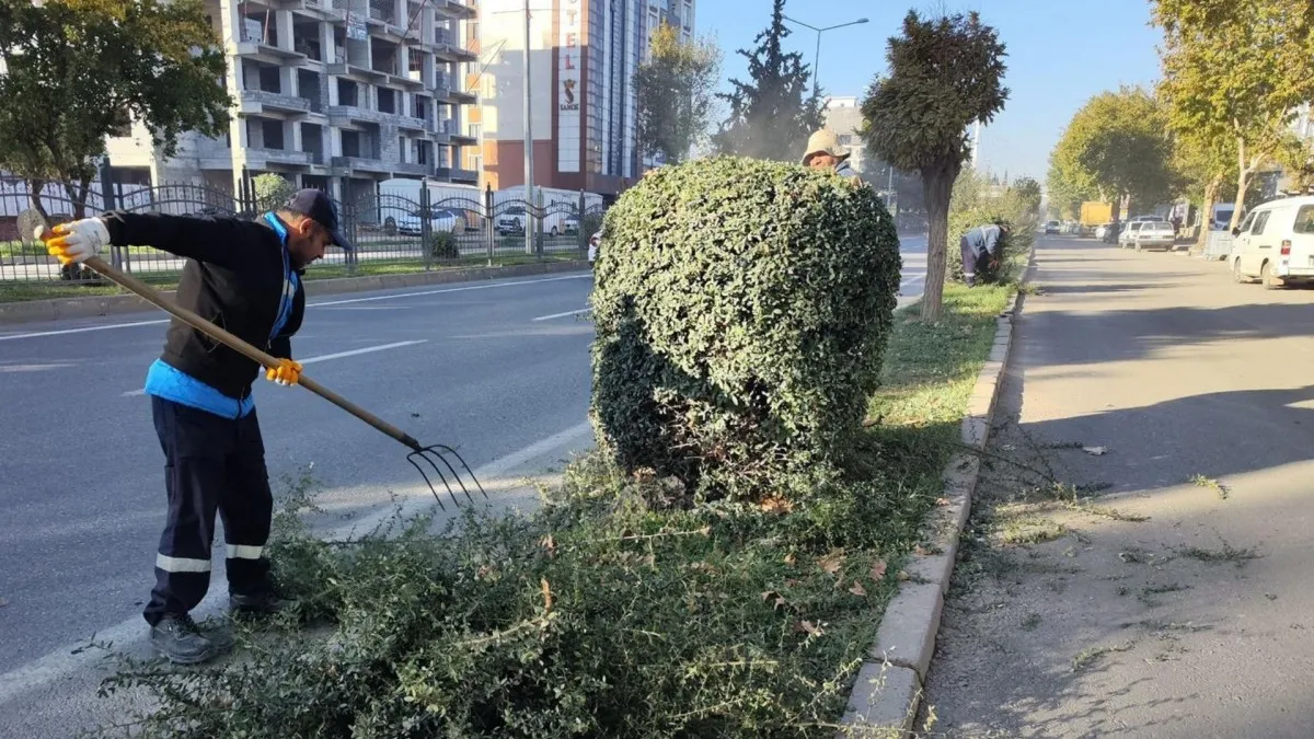 Adıyaman Belediyesi’nden kış öncesi ağaç budama ve bakım çalışması - Videolu Haber