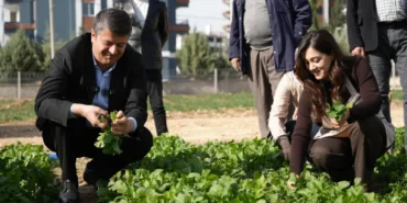Adıyaman Belediyesi’nin üretim tarlasından ilk hasat vatandaşa ücretsiz ulaştı  - Videolu Haber
