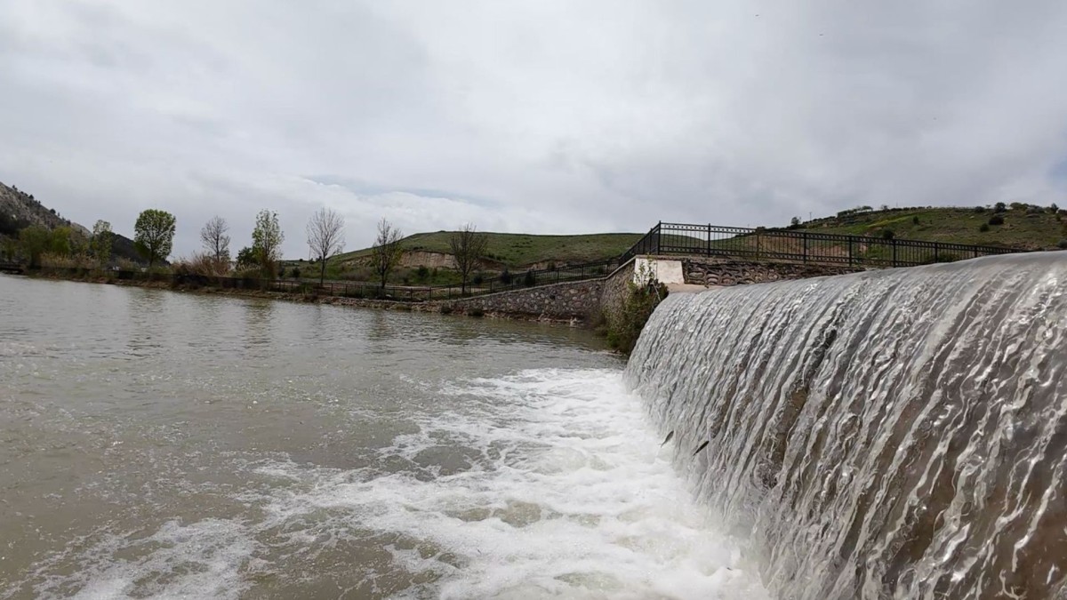 Adıyaman Beşpınar'da akıntıya karşı yüzen balıklar dikkat çekti  - Videolu Haber