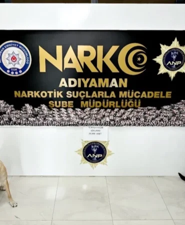 Adıyaman'da asayiş ve narkotik operasyonları: 55 şüpheli yakalandı, 9 tutuklama