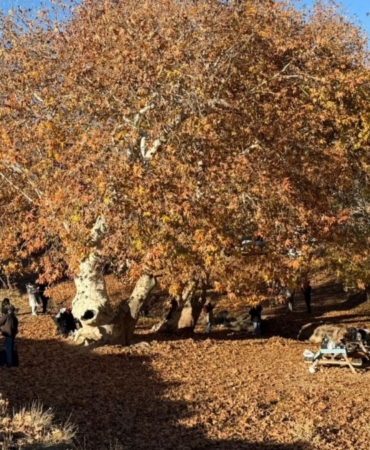 Adıyaman Zeynel Abidin Türbesi kış günlerinde ziyaretçi akınına uğradı  - Videolu Haber