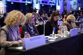 AGİT PA 23. Sonbahar Toplantısı