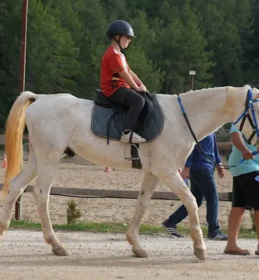 Alanya'da engelli bireylere binicilikle rehabilitasyon desteği