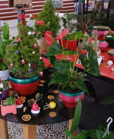 ANFA Bitki Evleri’nde yeni yılın çiçekleri sunuldu