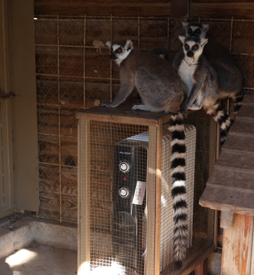 Antalya Büyükşehir Belediyesi Doğal Yaşam Parkı’nda kış tedbirleri