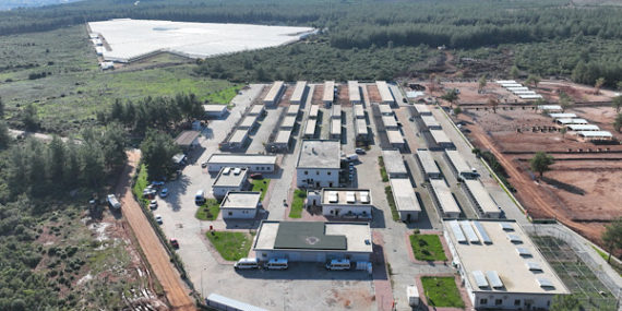 Antalya’da 1 yılda 3 bin 779 hayvanın kısırlaştırma işlemi tamamlandı