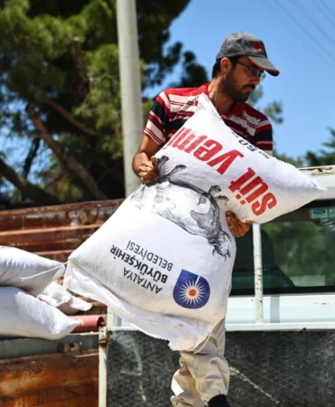 Antalya’da Hayvancılığa 2025’te Güçlü Destek