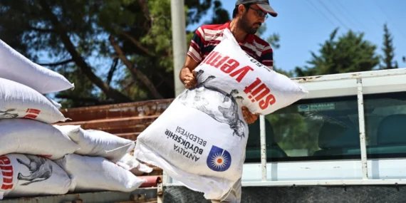 Antalya’da Hayvancılığa 2025’te Güçlü Destek