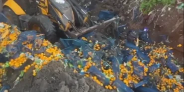 Artvin Sarp Sınır Kapısı'nda 6,1 ton mandalina imha edildi!