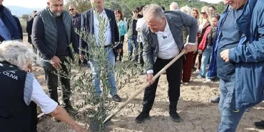 Atatürk’ün Vasiyeti Urla’da Hayata Geçti: Zeytin Koleksiyon Bahçesi’nde İlk Fidan Dikimi