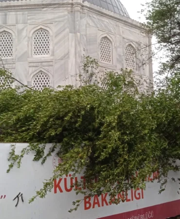 Ayasofya Camii'nde minare alem düştü! Bahçedeki ağaç kontrol altında
