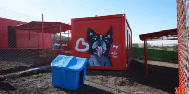 Balıkesir’de can dostlar için doğal yaşam alanı