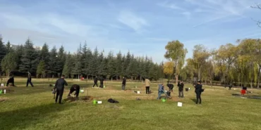 Basın Mensupları ve TSK personeli 63 fidanı toprakla buluşturdu