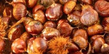 Başkan Tugay Beydağ’da kestane üreticileriyle buluştu