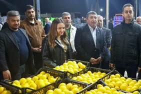 Başkan Vekili Büşra Özdemir’den hal esnafına ziyaret