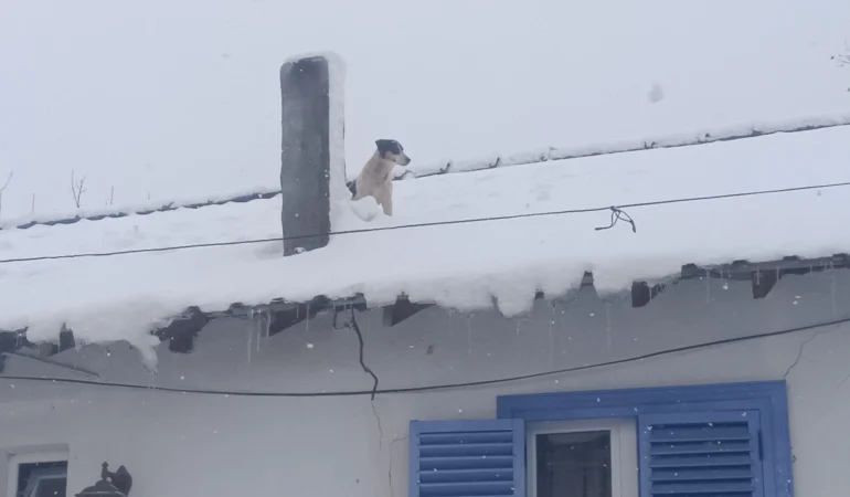 Bilecik Pazaryeri'nde kar altında kurtarma operasyonu