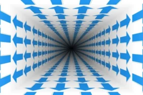 Biotrend'in bağlı ortaklığının ÇED süreci