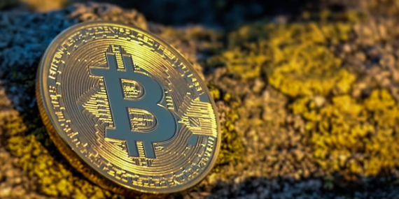 Bitcoin yüzde 1,3 artışla 93.576,7 dolara yükseldi