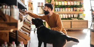 Bitki bazlı ve hücreden üretilmiş evcil hayvan mamalarına talep yükseliyor