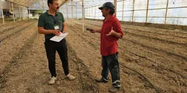 Bodrum'da zeytin üreticilerine teknik destek sağlanıyor