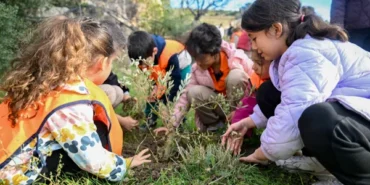 Bornova’da 200 zeytin fidanı toprakla buluştu