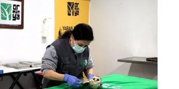 Bu merkez yaban hayvanlarına umut oluyor