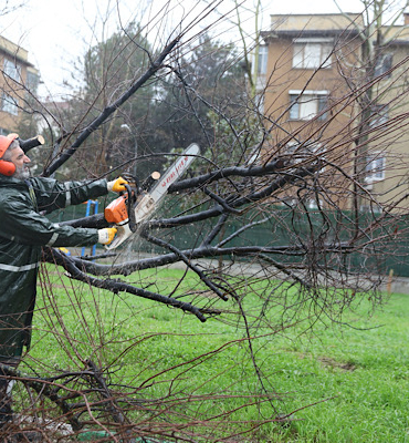 Bursa’da fırtınaya karşı ekipler seferber oldu