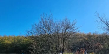 Bursa'da mantar toplamak için gittiği ormanlık alanda kaybolan kişi aranıyor