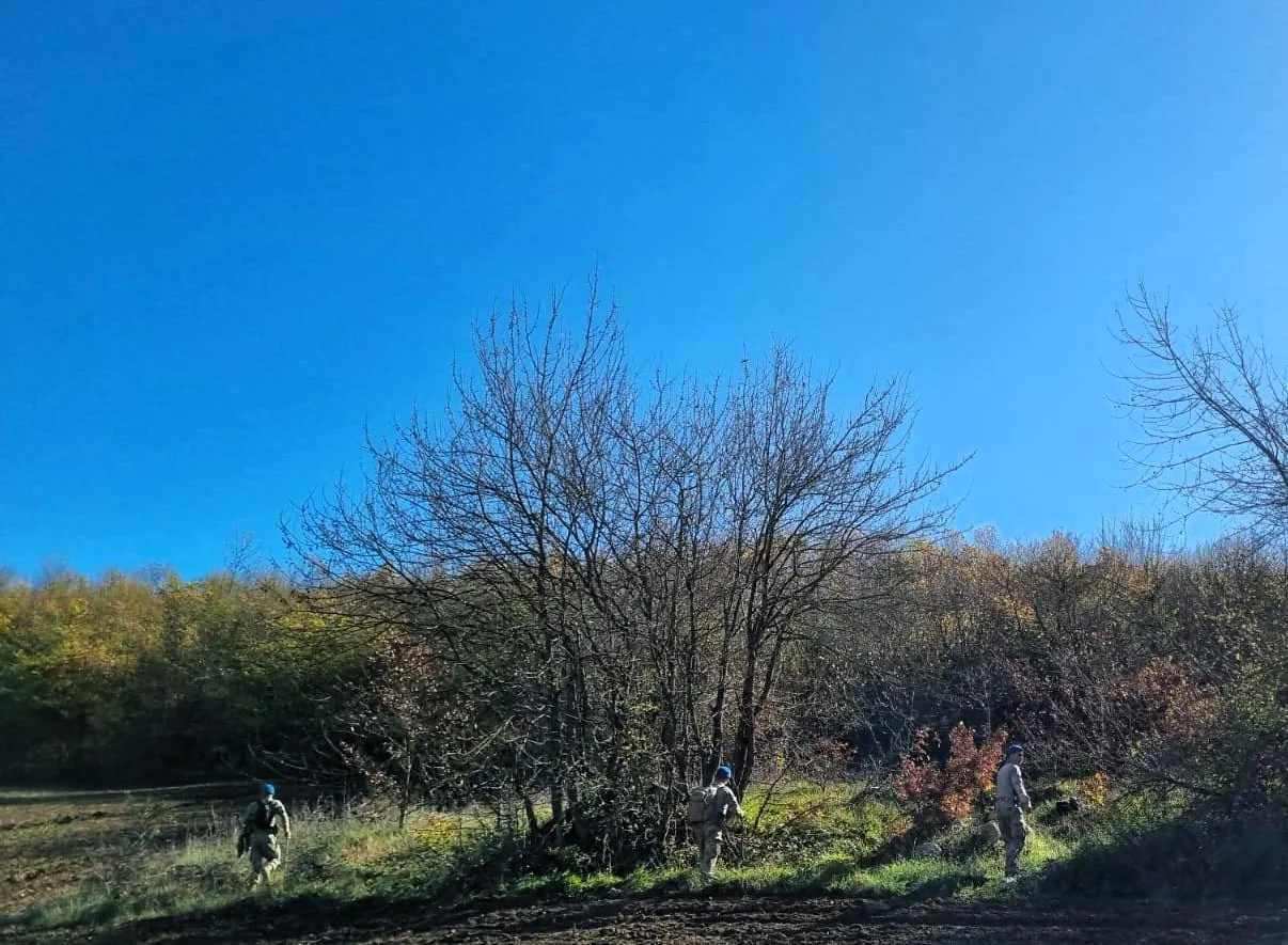 Bursa'da mantar toplamak için gittiği ormanlık alanda kaybolan kişi aranıyor