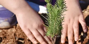 Bursa'da öğrencileri 2 bin 668 fidan dikti