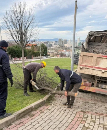 Bursa'da şiddetli lodosun devirdiği ağaçlara Osmangazi'den anında müdahale
