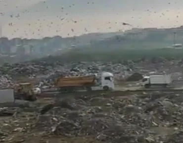 Bursa'daki katı atık alanına 1,8 milyon TL ceza!