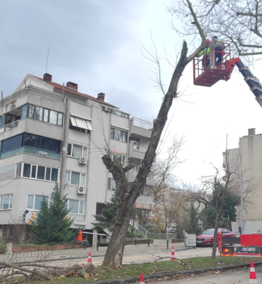 Bursa genelinde etkili olan lodosa yönelik çalışma