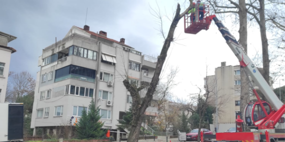 Bursa genelinde etkili olan lodosa yönelik çalışma