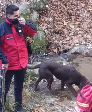 Büyükşehir Belediyesi Elif için seferber oldu
