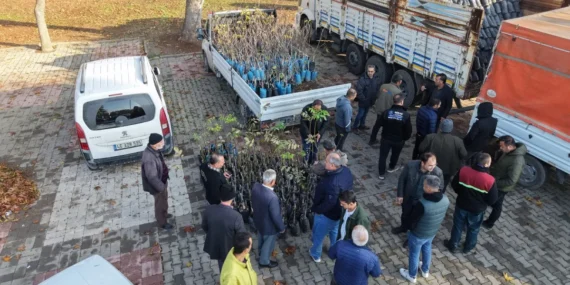 Büyükşehir’den Üreticilere Binlerce Fidan Desteği