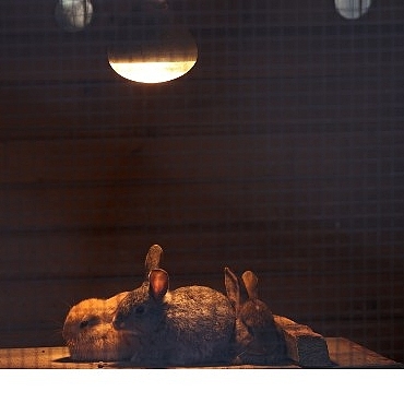 Büyükşehir Doğal Yaşam Parkı’nda kış tedbirleri