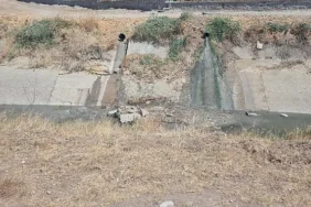 Büyükşehir, Temiz Çevre için Görev Başında