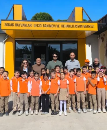 Çayırova Belediyesi 2025’te 328 Can Dosta Yuva Sağladı