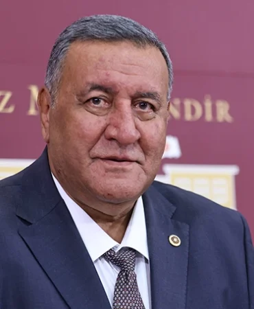 CHP’li Gürer: Zeytinde yeni yol haritası şart