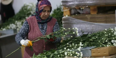 Çiçek ihracatında çeşitlilik arttı
