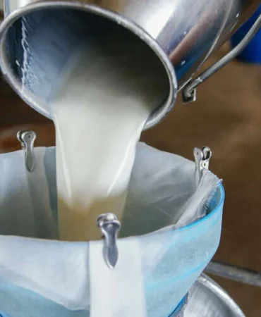 Çiğ sütte beklenti karşılanmadı! Referans fiyat açıklandı