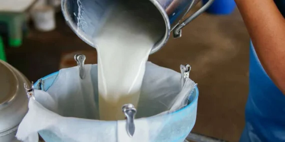 Çiğ sütte beklenti karşılanmadı! Referans fiyat açıklandı