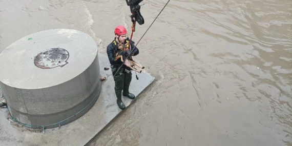 Derede köpek kurtarma operasyonu